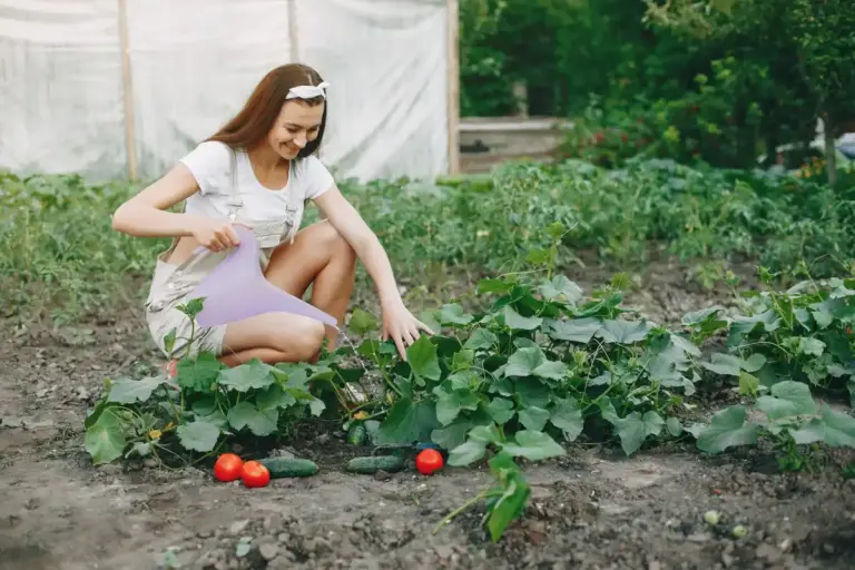 czech organic vegetable garden with companion plants