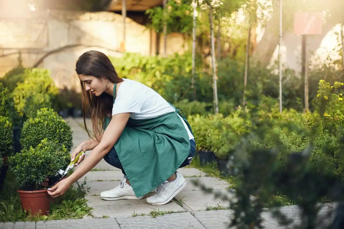 organic gardening czech backyard