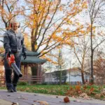 autumn lawn preparation czech garden vibrant