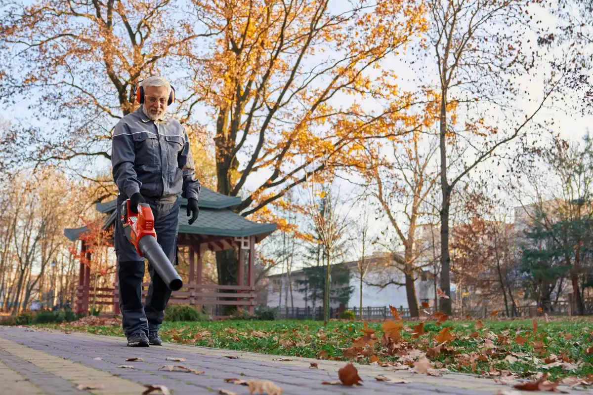 autumn lawn preparation czech garden vibrant