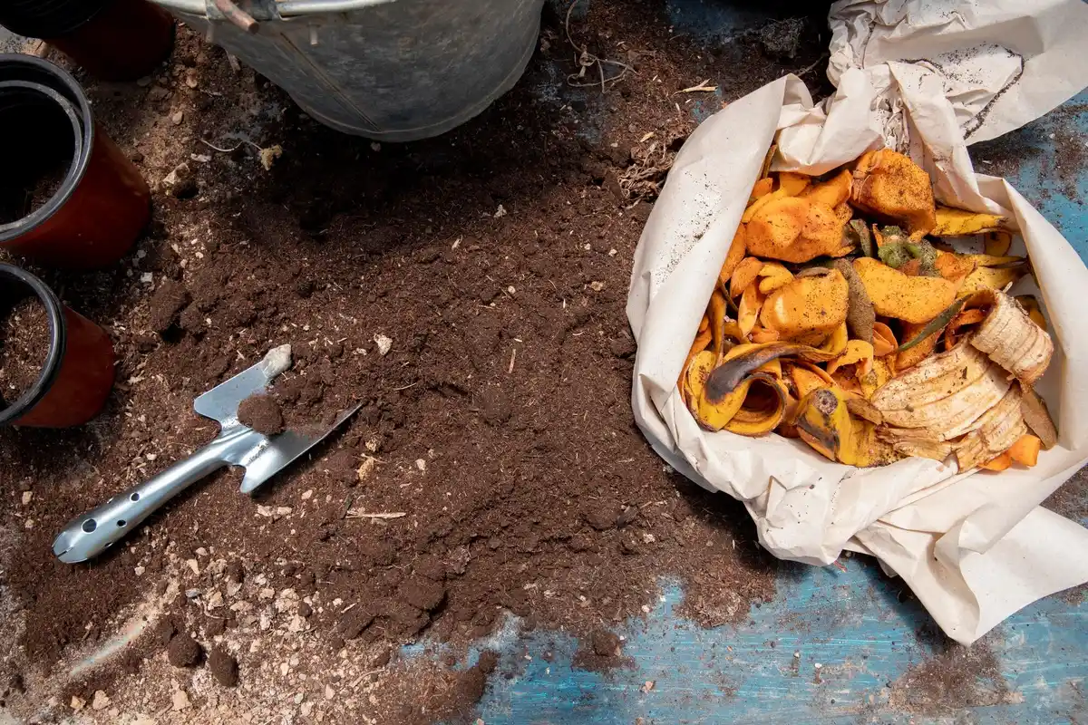 composting banana peels garden vegetables Czech backyard