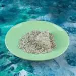 germinating seeds in paper towel macro