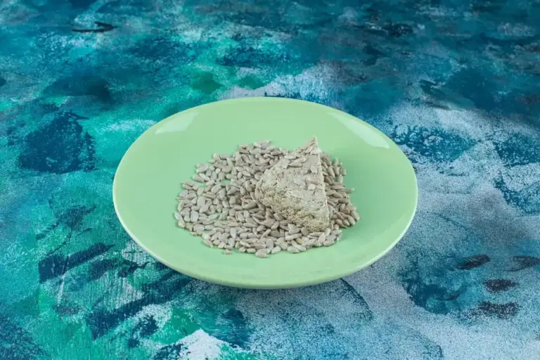 germinating seeds in paper towel macro
