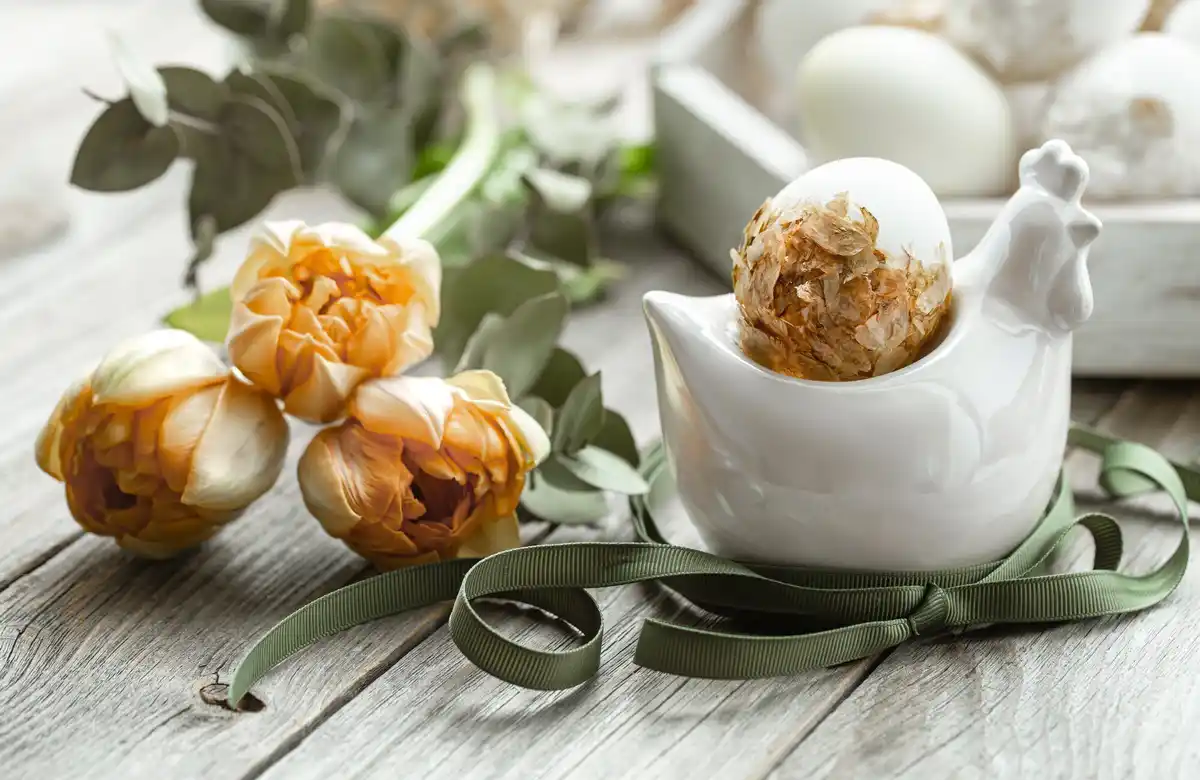 egg shell as seedling cup starting seeds natural garden spring Czech
