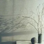 houseplant stressed dry leaves indoor window light