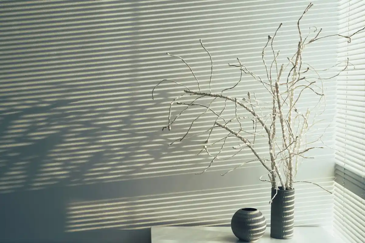 houseplant stressed dry leaves indoor window light