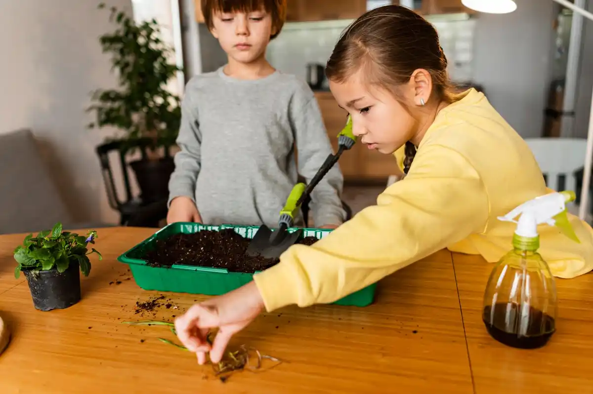 toxic houseplants danger kids home