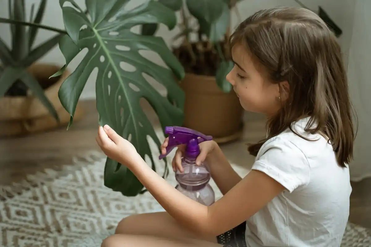 child touching poisonous houseplants