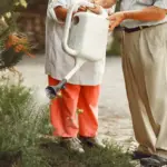 elderly gardener pouring liquid fertilizer, easy gardening method