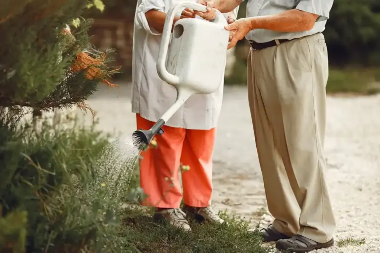 elderly gardener pouring liquid fertilizer, easy gardening method