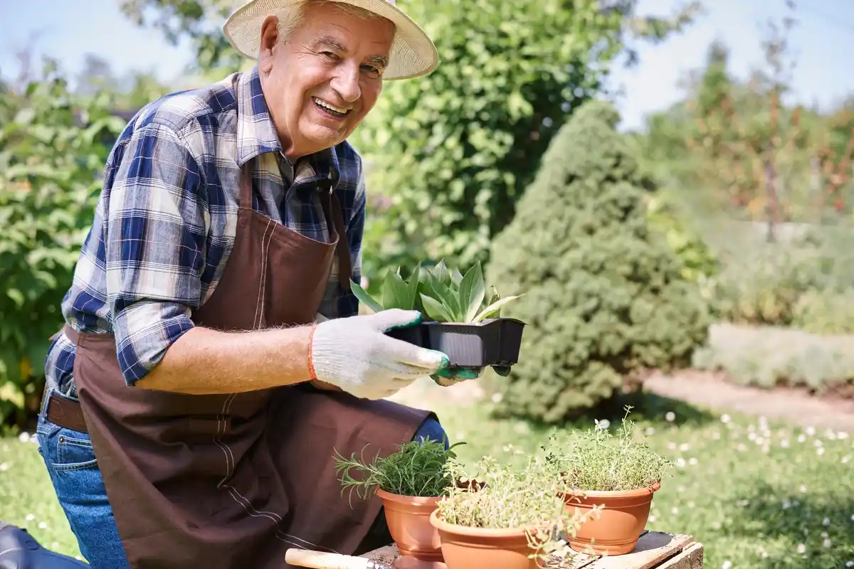 senior gardening fertilizer easy method
