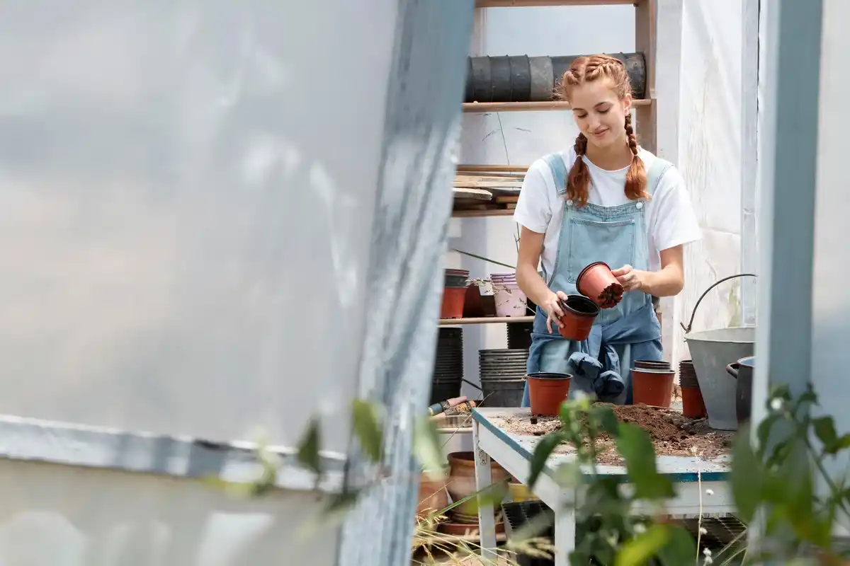 senior easy homemade greenhouse building materials