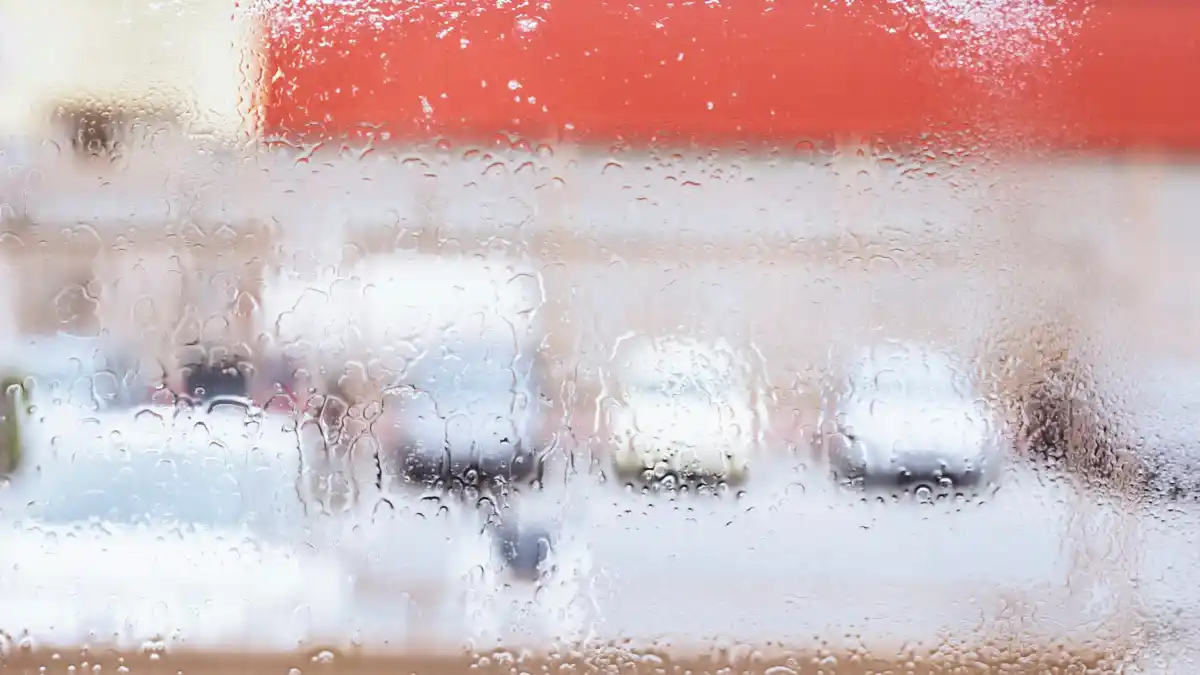 condensation on greenhouse glass tomatoes damage