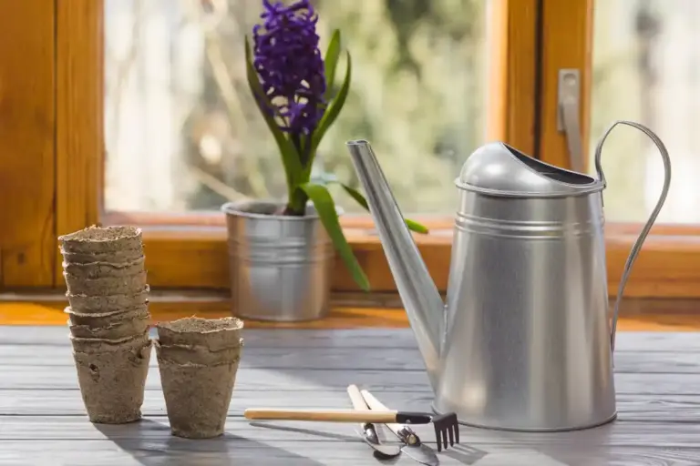 coffee grounds on houseplants czech home