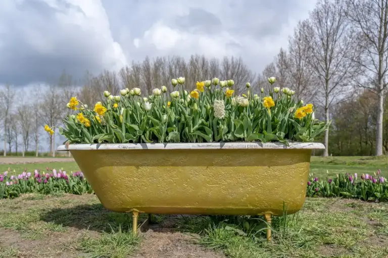 czech meadow style garden