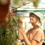 innovative greenhouse material czech backyard