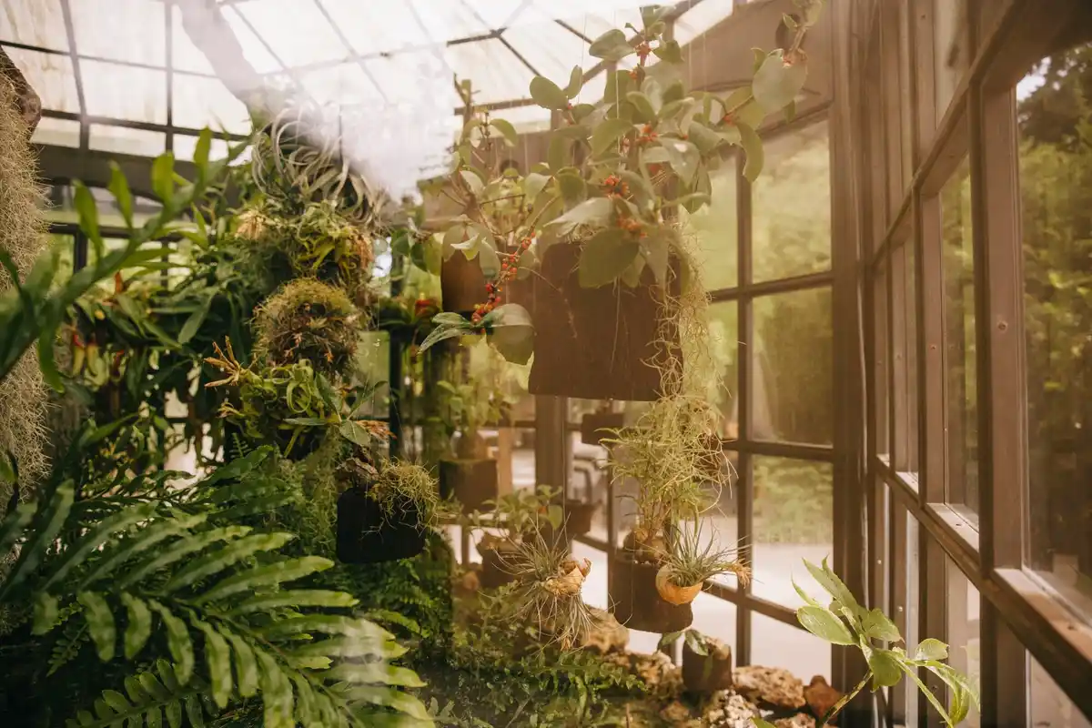 unusual greenhouse material czech garden