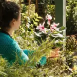 easy care plants for seniors Czech balcony garden