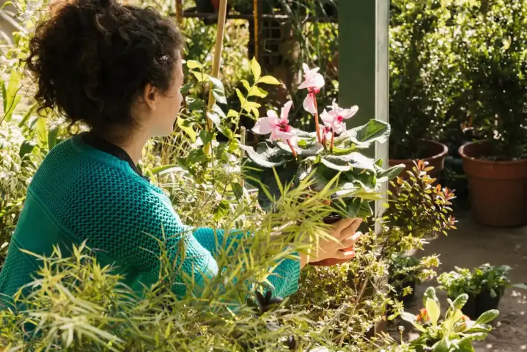 easy care plants for seniors Czech balcony garden