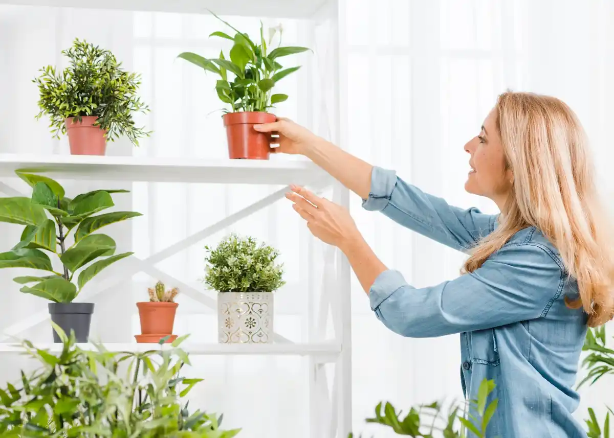 hydroponic indoor garden Czech apartment