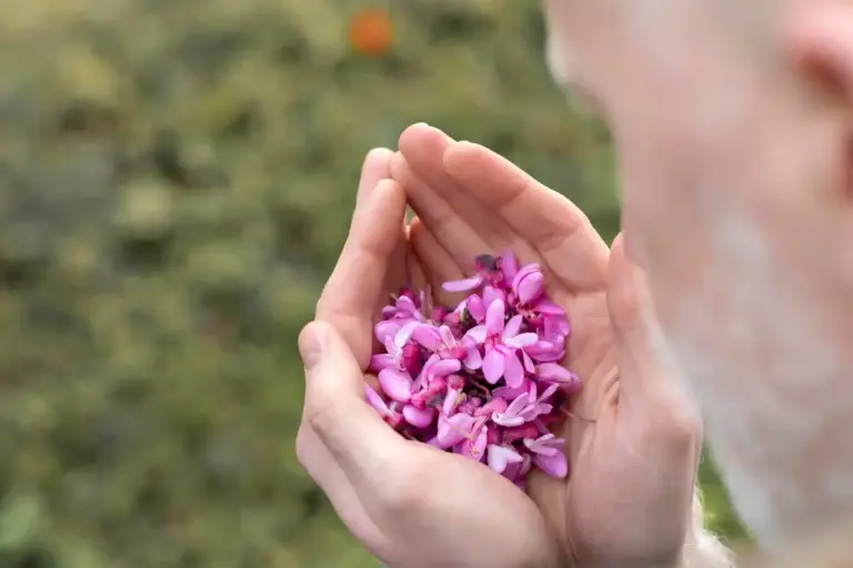 wilted orchid rescue with rice water
