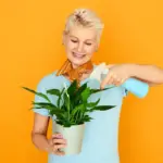 yellowing houseplants solution