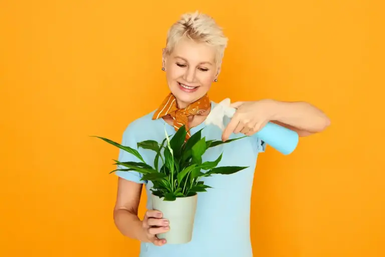 yellowing houseplants solution