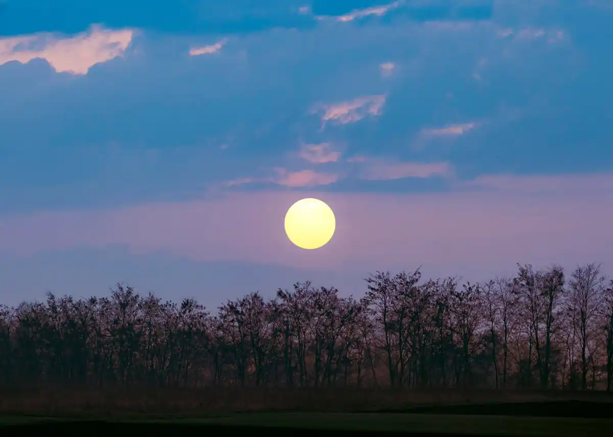 moon phases over czech countryside garden