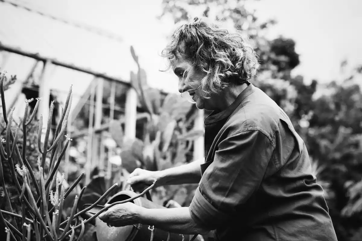 czech gardener planting vegetables by moon calendar