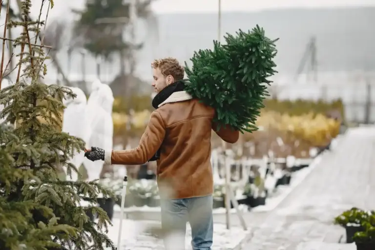 greenhouse preparation for winter Czech garden
