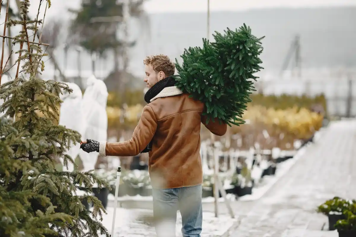 greenhouse preparation for winter Czech garden