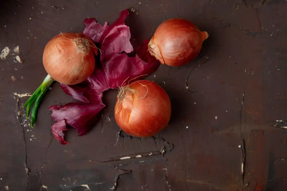 onion peels natural fertilizer indoor plants