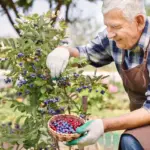 senior urban fruit gardening Czech balcony