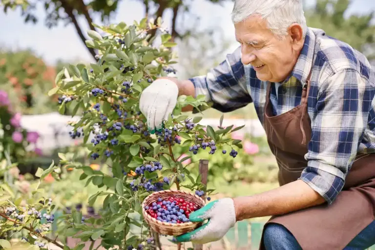senior urban fruit gardening Czech balcony
