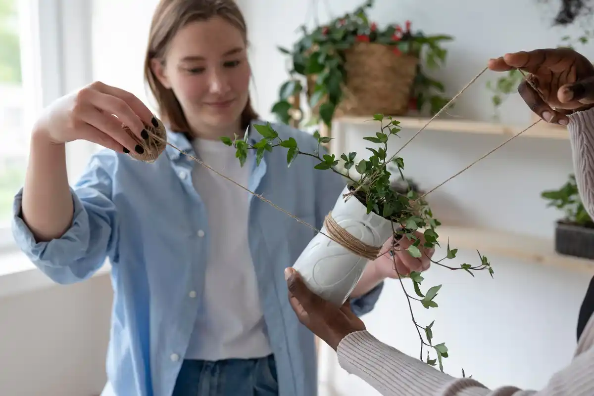 wooden stick soil moisture indoor plants Czech apartment