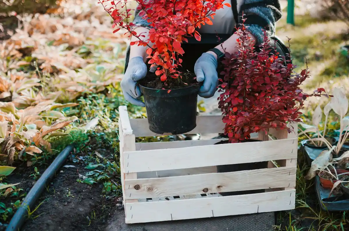 DIY composting Czech garden