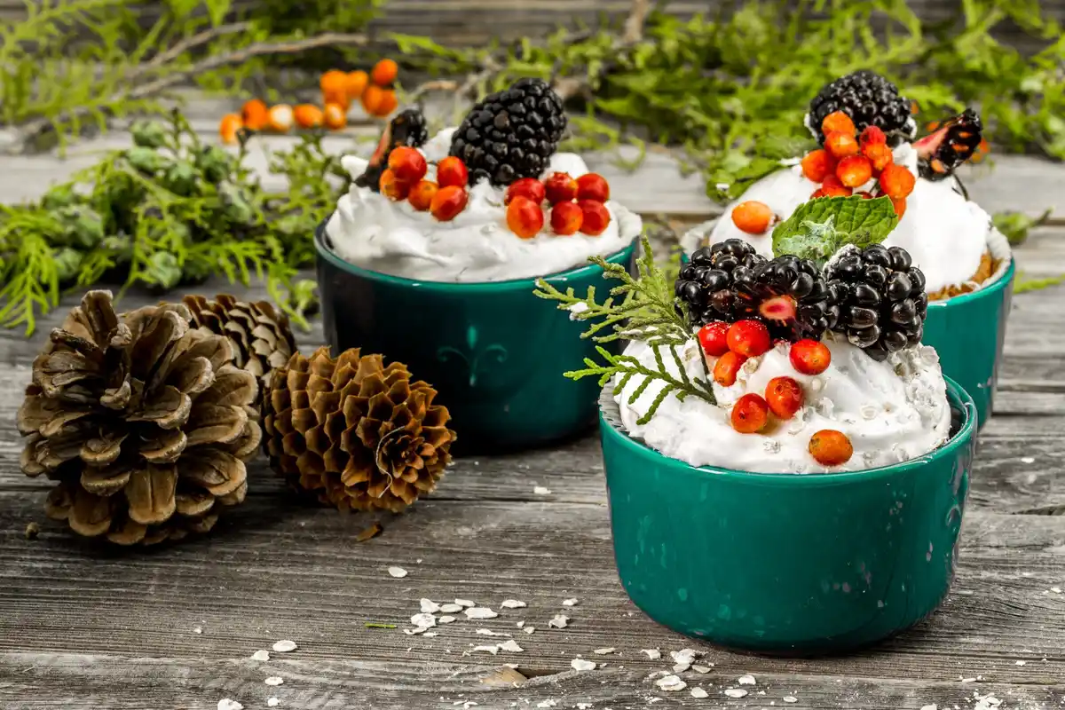 eggshells in garden with currant bushes