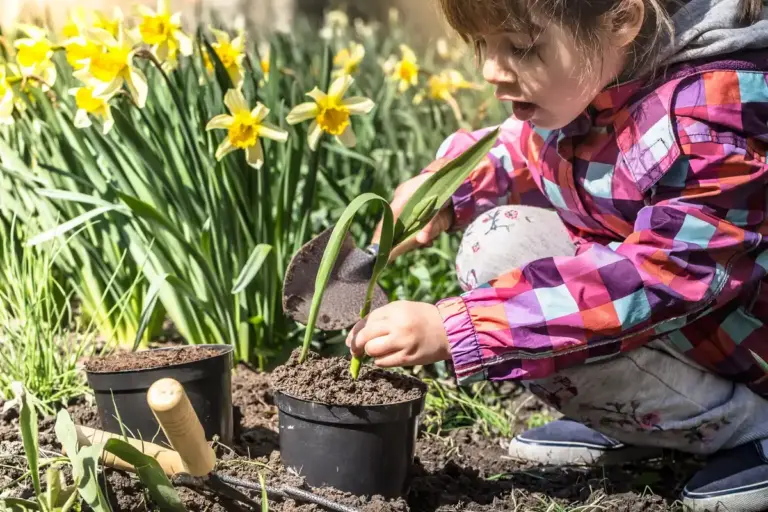 coffee grounds gardening Czech home garden spring