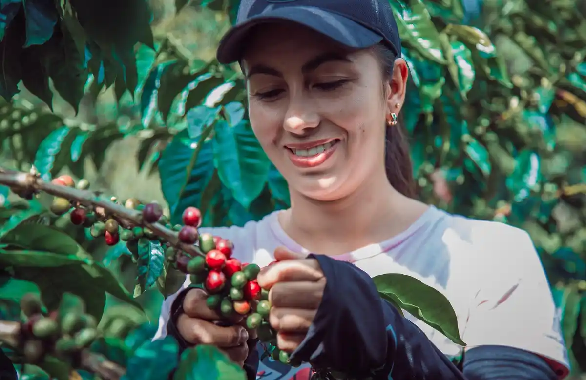 sprinkling coffee grounds around plants outdoor
