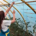 greenhouse condensation problem solution Czech garden