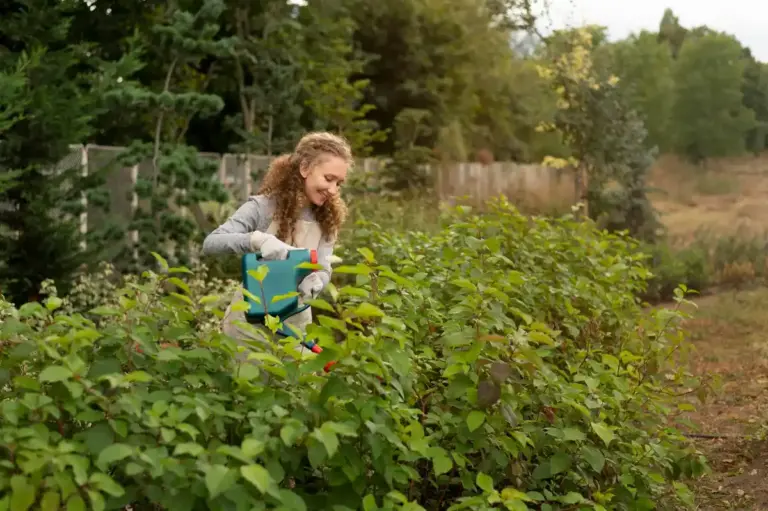 Czech gardener using organic fertilizer in vegetable garden