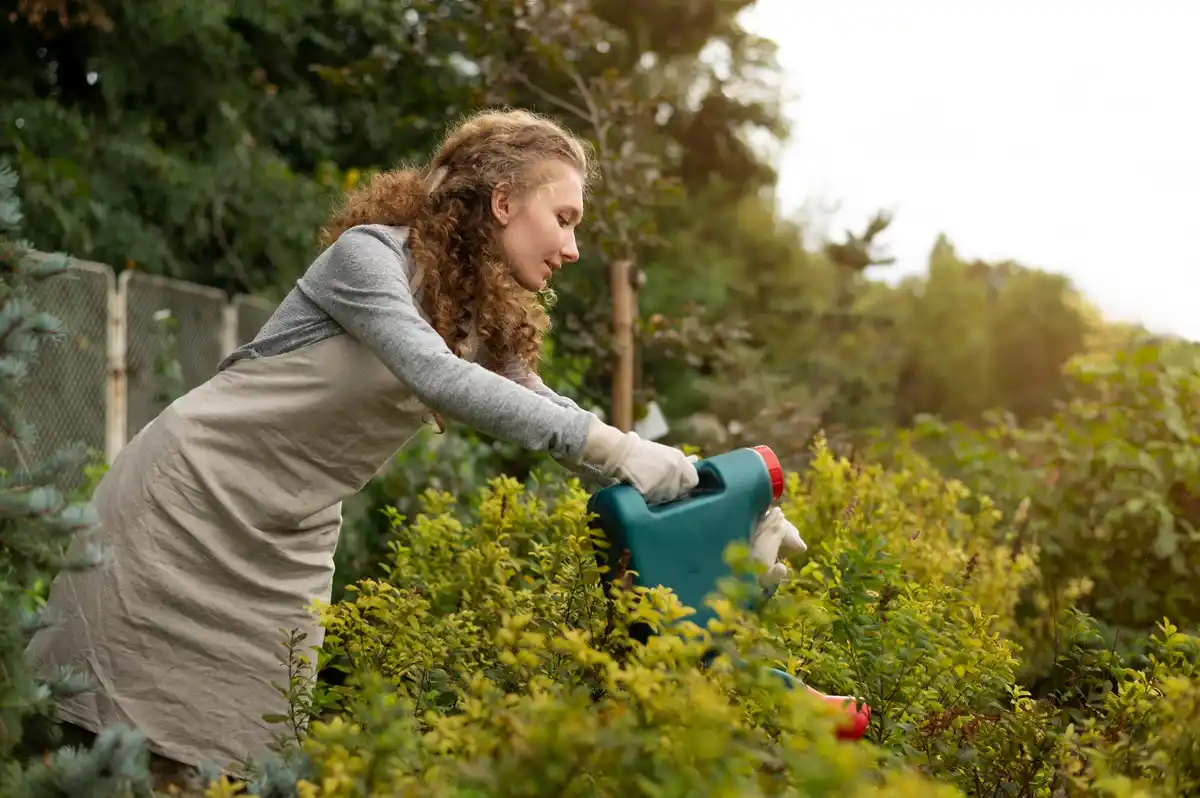 organic fertilizer application garden Czech