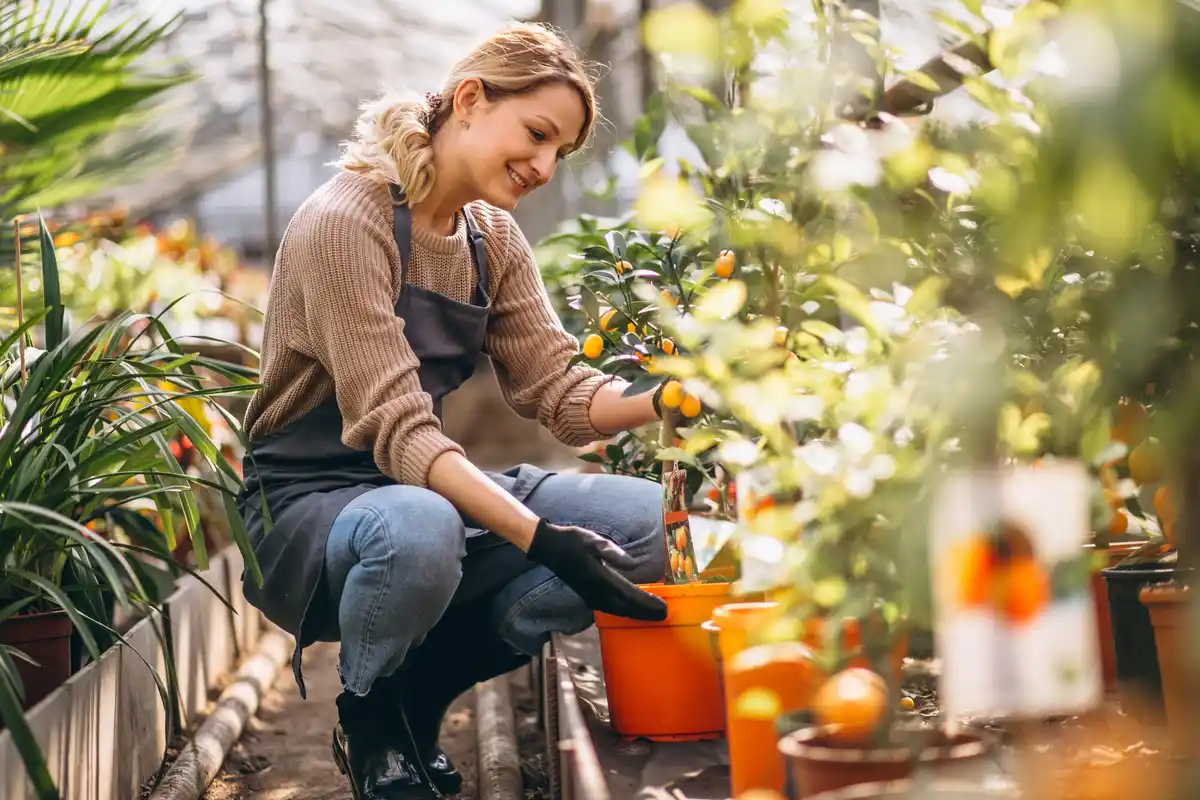 urban gardening in czech republic