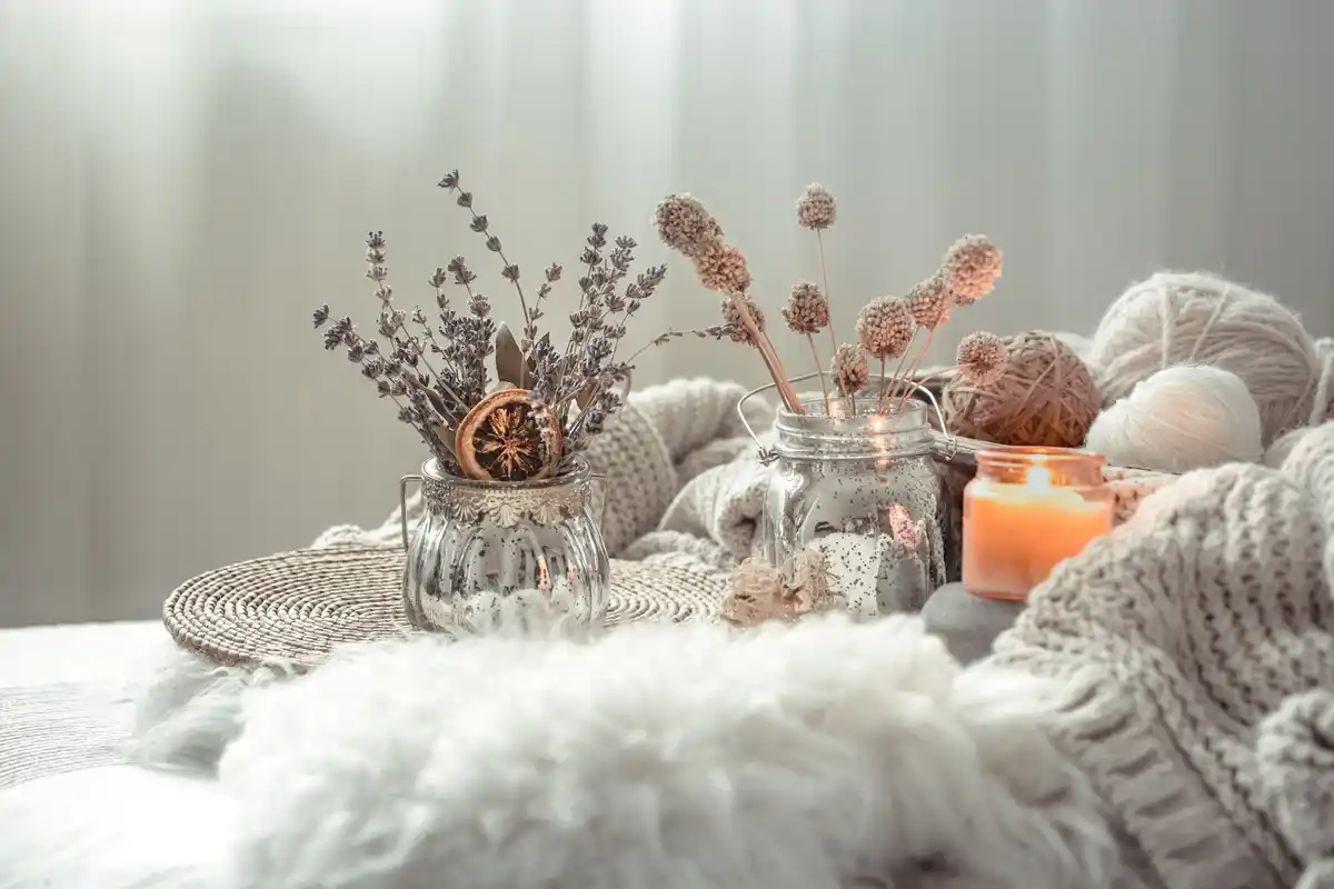 winter houseplant low light cozy Prague flat