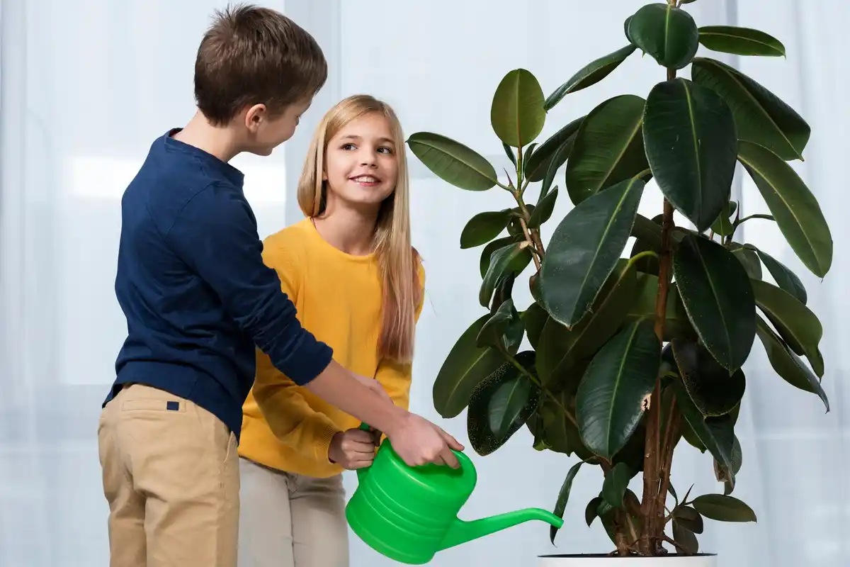child and pet near dangerous house plant dieffenbachia