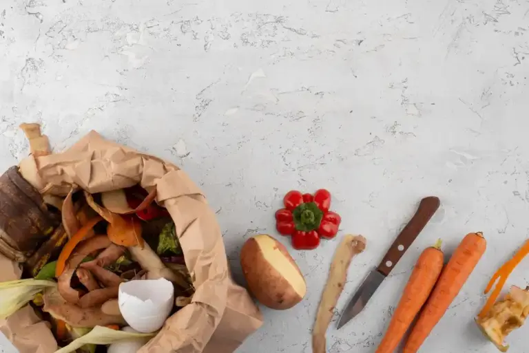 kitchen waste compost garden Czech