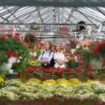 shaded greenhouse in czech garden