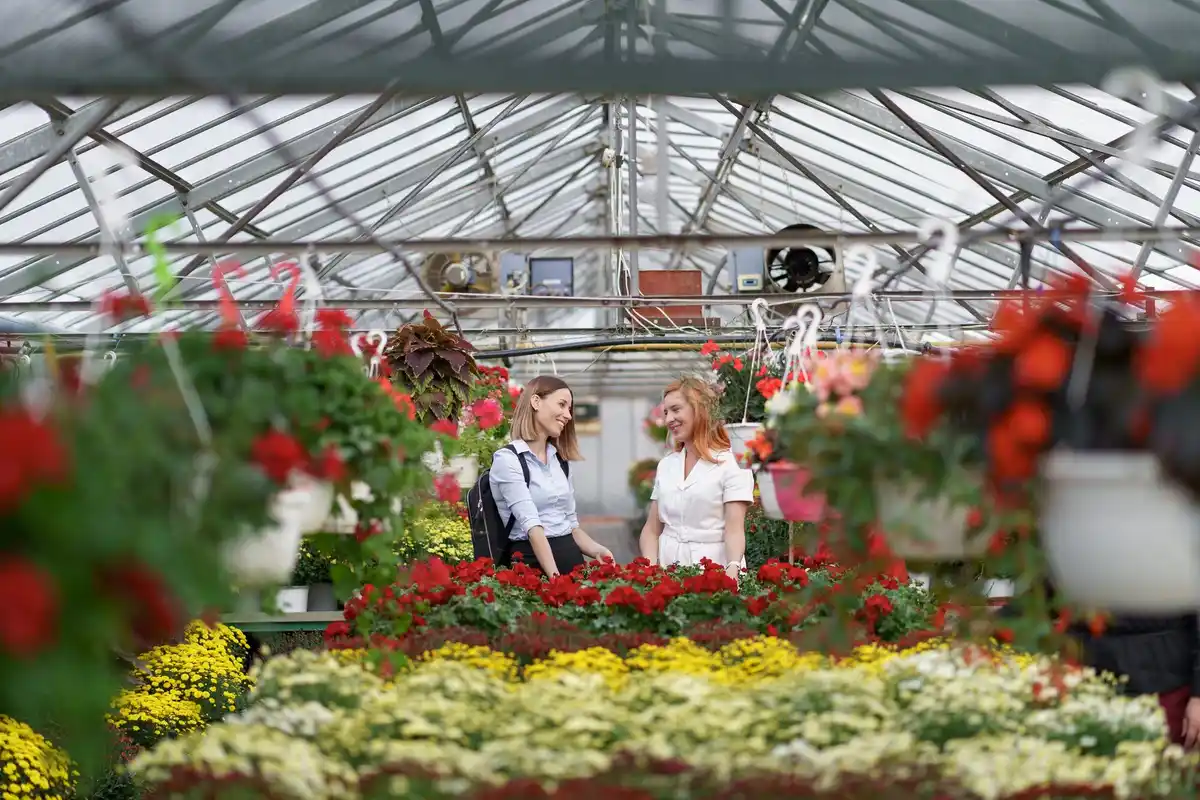shaded greenhouse in czech garden