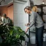 modern hydroponic plants in czech apartment
