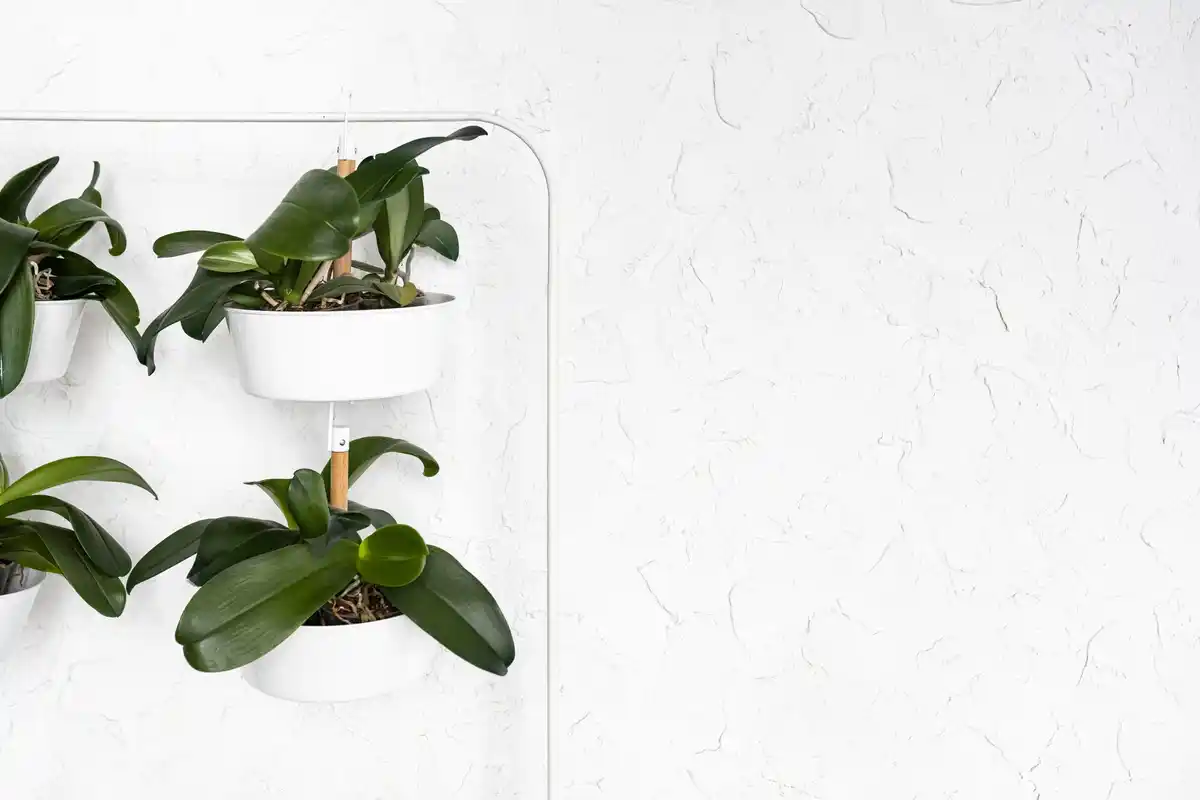 air plants modern minimal czech home